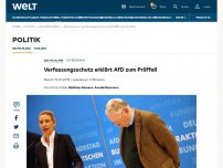 Bild zum Artikel: Verfassungsschutz erklärt AfD zum Prüffall