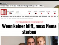 Bild zum Artikel: Stammzellenspender gesucht - Wenn keiner hilft, muss Mama sterben