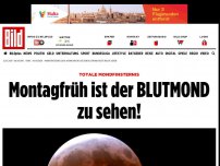 Bild zum Artikel: Totale Mondfinsternis - WANN und WO Sie den BLUTMOND am besten sehen!