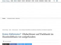 Bild zum Artikel: Möglicherweise erster Kältetoter: Mann auf Parkbank im Humboldthain tot aufgefunden