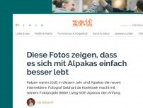 Bild zum Artikel: Diese Fotos zeigen, dass es sich mit Alpakas einfach besser lebt