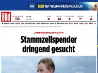 Bild zum Artikel: „Friedrich braucht euch!“ - Stammzellspender dringend gesucht