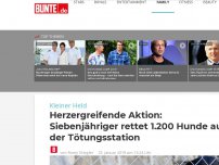 Bild zum Artikel: Kleiner Held: Siebenjähriger rettet 1.200 Hunde aus der Tötungsstation