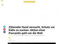 Bild zum Artikel: Zitternder Hund versucht, Schutz vor Kälte zu suchen: Aktion einer Passantin geht um die Welt