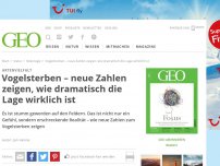 Bild zum Artikel: Vogelsterben – neue Zahlen zeigen, wie dramatisch die Lage wirklich ist