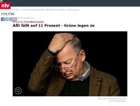 Bild zum Artikel: RTL/n-tv-Trendbarometer: AfD fällt auf 11 Prozent - Grüne legen zu