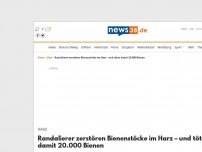 Bild zum Artikel: Randalierer zerstören Bienenstöcke im Harz – und töten damit 200.000 Bienen