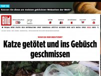 Bild zum Artikel: War es der Besitzer? - Katze getötet und ins Gebüsch geschmissen