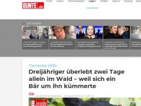 Bild zum Artikel: Dreijähriger überlebt zwei Tage allein im Wald – weil sich ein Bär um ihn kümmerte