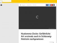 Bild zum Artikel: Hyalomma-Zecke: Gefährliche Art erstmals auch in Schleswig-Holstein nachgewiesen