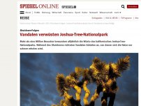 Bild zum Artikel: Shutdown-Folgen: Vandalen verwüsten Joshua-Tree-Nationalpark