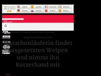 Bild zum Artikel: Marathonläuferin findet ausgesetzten Welpen und nimmt ihn kurzerhand mit