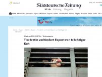 Bild zum Artikel: Viehtransporte: Tierärztin verhindert Export von trächtiger Kuh