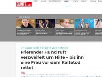 Bild zum Artikel: Frierender Hund ruft verzweifelt um Hilfe – bis ihn eine Frau vor dem Kältetod rettet