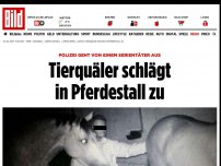 Bild zum Artikel: Polizei glaubt an Serientäter - Tierquäler schlägt in Pferdestall zu