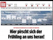 Bild zum Artikel: Mittwoch schon bis zu 12 Grad im Westen - Hier pirscht sich der Frühling an uns heran!