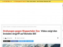 Bild zum Artikel: Zoo Wuppertal: Bonobo-Affe Bili erneut angegriffen und verstümmelt