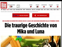 Bild zum Artikel: Geschwisterchen wird sterben - Die traurige Geschichte von Mika und Luna