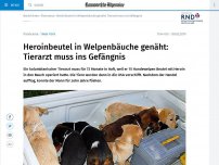 Bild zum Artikel: Heroinbeutel in Welpenbäuche genäht: Tierarzt muss ins Gefängnis