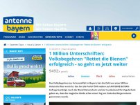 Bild zum Artikel: 1 Million Unterschriften: Volksbegehren 'Rettet die Bienen' erfolgreich - so geht es jetzt weiter