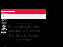 Bild zum Artikel: Erstmals seit 100 Jahren: Seltener schwarzer Panther in Kenia gesichtet