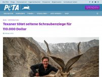 Bild zum Artikel: Texaner tötet seltene Schraubenziege für 110.000 Dollar