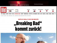 Bild zum Artikel: BREAKING BACK! - Netflix krallt sich Rechte an Erfolgs-Serie