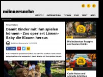 Bild zum Artikel: Damit Kinder mit ihm spielen können - Zoo operiert Löwen-Baby die Krallen heraus | Männersache