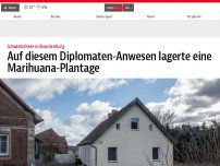 Bild zum Artikel: Auf diesem Diplomaten-Anwesen lagerte eine Marihuana-Plantage