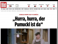 Bild zum Artikel: Kobold kehrt ins TV zurück - „Hurra, hurra, der Pumuckl ist da“