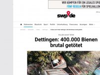 Bild zum Artikel: Unbekannte töten tausende von Bienen in Dettingen