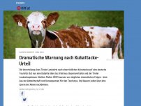 Bild zum Artikel: Dramatische Warnung nach Kuhattacke-Urteil