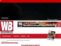 Bild zum Artikel: Eine neue Variante der Einwanderung: Die EU will nun das „Humanitäre Visum“