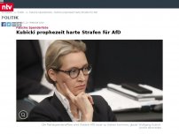 Bild zum Artikel: Falsche Spenderliste: Kubicki rechnet mit harten Sanktionen für AfD