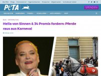 Bild zum Artikel: Hella von Sinnen & 34 Promis fordern: Pferde raus aus Karneval