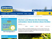 Bild zum Artikel: Hecken und Bäume bis Donnerstag schneiden: Sonst drohen diese Strafen