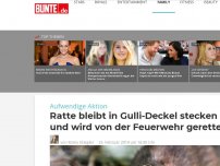 Bild zum Artikel: Aufwendige Aktion: Ratte bleibt in Gulli-Deckel stecken – und wird von der Feuerwehr gerettet