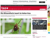 Bild zum Artikel: Kolumne Liebeserklärung: Die Klimaretterin lauert im hohen Gras