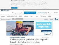 Bild zum Artikel: Viehtransporter gerät bei Wettringen in Brand – 64 Schweine verenden