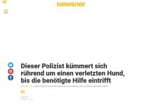 Bild zum Artikel: Dieser Polizist kümmert sich rührend um einen verletzten Hund, bis die benötigte Hilfe eintrifft