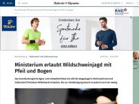 Bild zum Artikel: Ministerium erlaubt Wildschweinjagd mit Pfeil und Bogen