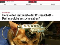 Bild zum Artikel: Tiere leiden im Dienste der Wissenschaft – Darf es solche Versuche geben?