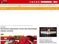 Bild zum Artikel: In Valencia - Berühmter spanischer Torero bei Stierkampf schwer verletzt