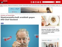 Bild zum Artikel: Verdacht auf Steuerdelikt - Staatsanwaltschaft ermittelt gegen AfD-Chef Gauland