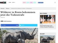 Bild zum Artikel: Wilderer in Kenia bekommen jetzt die Todesstrafe