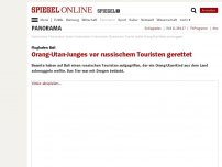 Bild zum Artikel: Flughafen Bali: Orang-Utan-Junges vor russischem Touristen gerettet