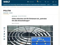 Bild zum Artikel: Grüne wünschen sich EU-Parlament als „zentralen Ort aller Entscheidungen“