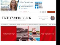 Bild zum Artikel: Die Grünen berauschen sich auf ihrem Programmkonvent an der Vorstellung von Untertanen