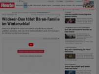 Bild zum Artikel: Feiern nach feiger Tat: Wilderer-Duo tötet Bären-Familie im Winterschlaf