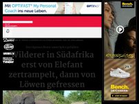 Bild zum Artikel: Wilderer in Südafrika erst von Elefant zertrampelt, dann von Löwen gefressen